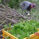 상희농장 이미지