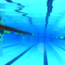 희망찬 키즈 스윔 이미지