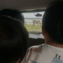 혜리네농수산