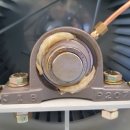 금강기전 이미지