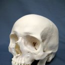 감동치과의원 이미지