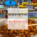 강원도 속초 중앙시장 맛집 이색 별미 먹거리 사형제문어강정 후기