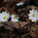 이세한의원 이미지