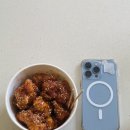 시골통닭&닭강정 이미지
