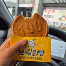 경비행기 타러 공주갑니다. 공주 당일치기 여행 후기