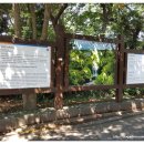 천제연폭포[남] 네이버블로그
