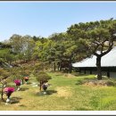 택수목장 이미지