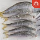 야미 - 시흥시 월곶중앙로70번길 11 | 야미