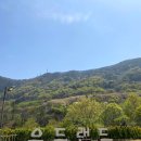 월아산 우드랜드 | 진주 월아산 우드랜드 숲체험후기(주차, 예약, 아이와 가볼만한 곳)