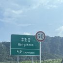 코코애견 이미지