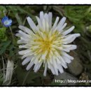 실로암 세탁소 이미지