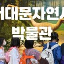 서대문자연사박물관 네이버블로그