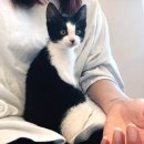 반월동물병원 이미지