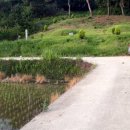 금량농장 이미지