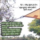 제주의 시간은 느리다 이미지