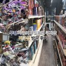 샵 | 피쿠샵 후기/부평 피규어 제일복권 자체쿠지샵