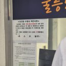 알봉 둘레길 | 울릉도 2박 3일 (2) - 나리분지, 나리촌식당, 알봉둘레길, 천부항 스노쿨링, 가보자회식당, 아로하치킨