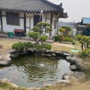 정원곰탕 - 창원시 성산구 | 정원곰탕