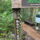 붉은오름자연휴양림2 이미지