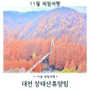 퉁소바위 사거리1 | 대전 가볼만한 곳 장태산자연휴양림 주차장 포토존 주말방문후기 단풍명소