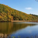 사촌주차장 이미지