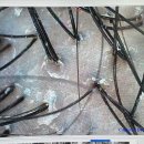 송내대로 | [부천] 믿고 받을수 있는 두피관리 맛집 &#39;모바이오 부천점&#39;