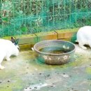 충주자연생태체험관(1층) 이미지