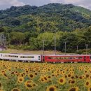 모네정원 이미지