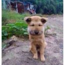 세븐일레븐천안성거영신점 | 8월 순삭.. 1부 | 아프기만 하다 지나간 8월 아프지 말자 다들! 아픈 건 서러워 | 가을아 얼른 와...