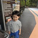 중산리 관광지 이미지