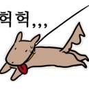 카페우유니