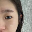 시노랩 이미지