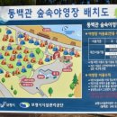 용두해수욕장 숲속야영장 이미지