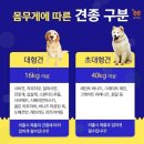 공항 가까운 전원주택 펫시터 이미지
