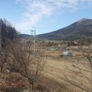 양지-3561 이미지