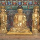 무안-1호 이미지