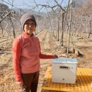 분무골농장 이미지