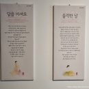 RR-78[화동로]-하-5 | 경기도 포천 1박2일 가족여행 코스 2일차