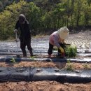 무학농장 이미지