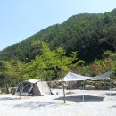 비로야영장 이미지