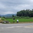 일신천 티스토리