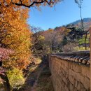 대성암 앞 이미지