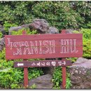 허브힐펜션 이미지