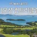 여수골프
