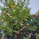 상계근린공원 이미지