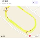 월화네일