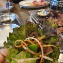 돼지야&닭 이미지