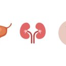 리메디얼 클리닉 이미지