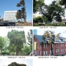 향나무쉼터 이미지