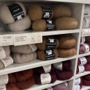 털뭉탱이 이미지